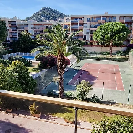Apartment Le Repaire Des Palmiers - T2 En Centre-Ville Avec Parking Et Piscine *